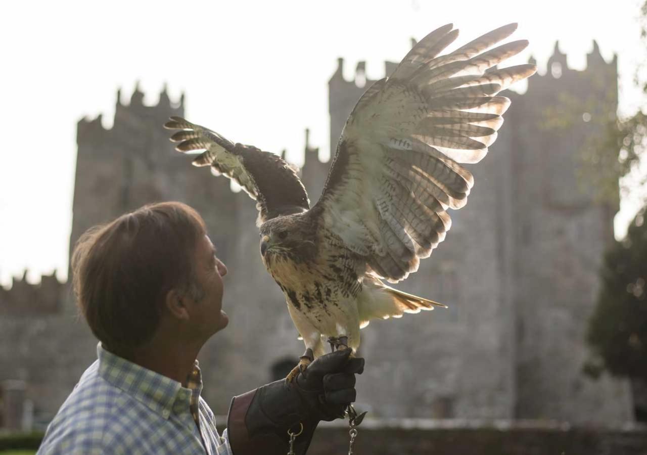 Kilkea Castle Hotel ภายนอก รูปภาพ